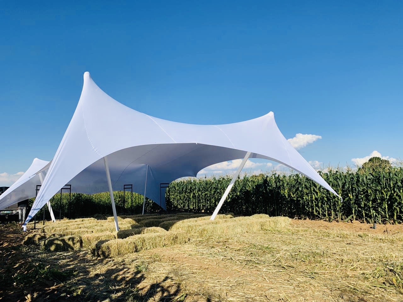 Stretch tent private function